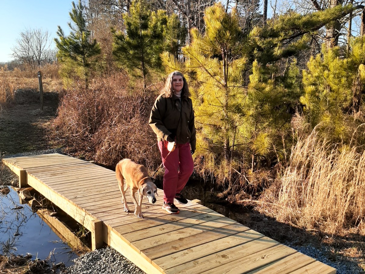 Bridging the Spillway at the County&nbsp;Farm!