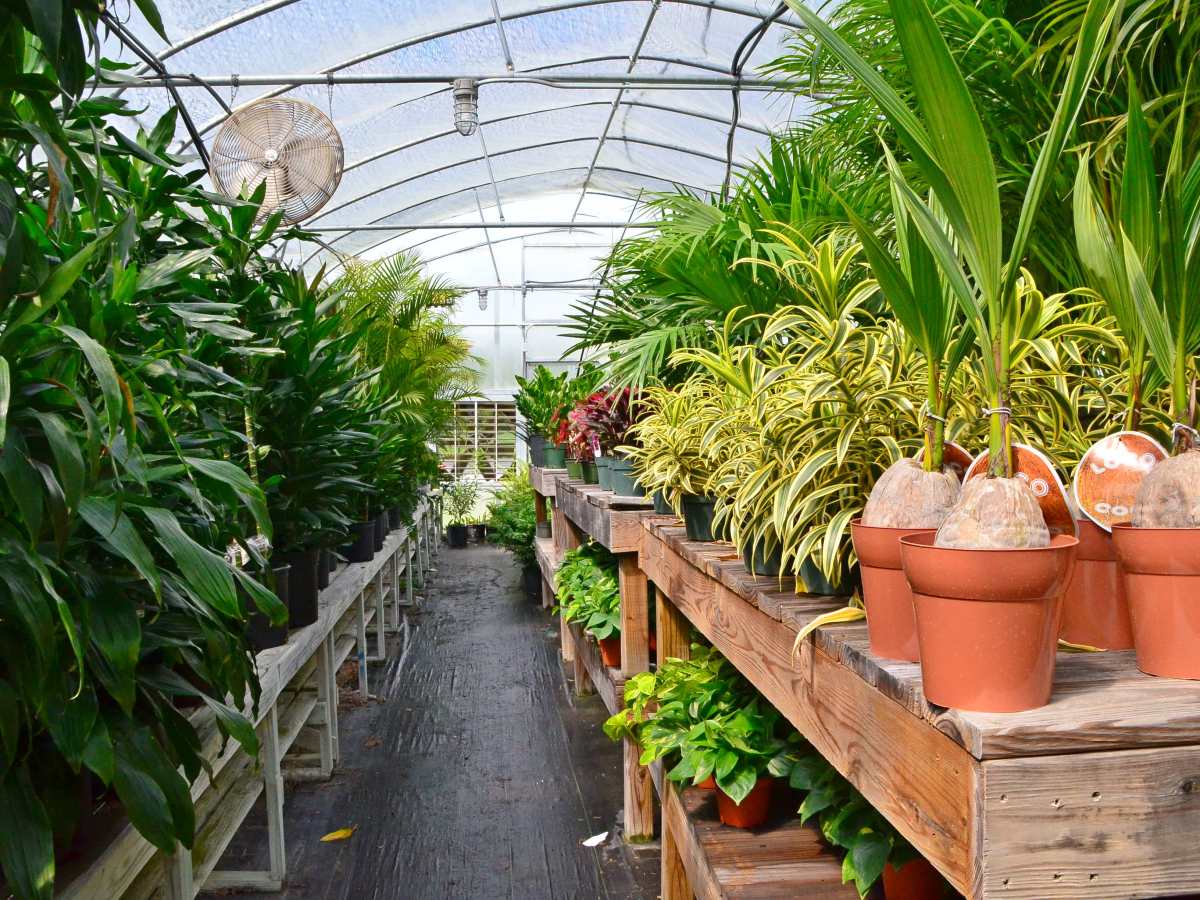 Real-LYF More Than Just Growing&nbsp;Plants