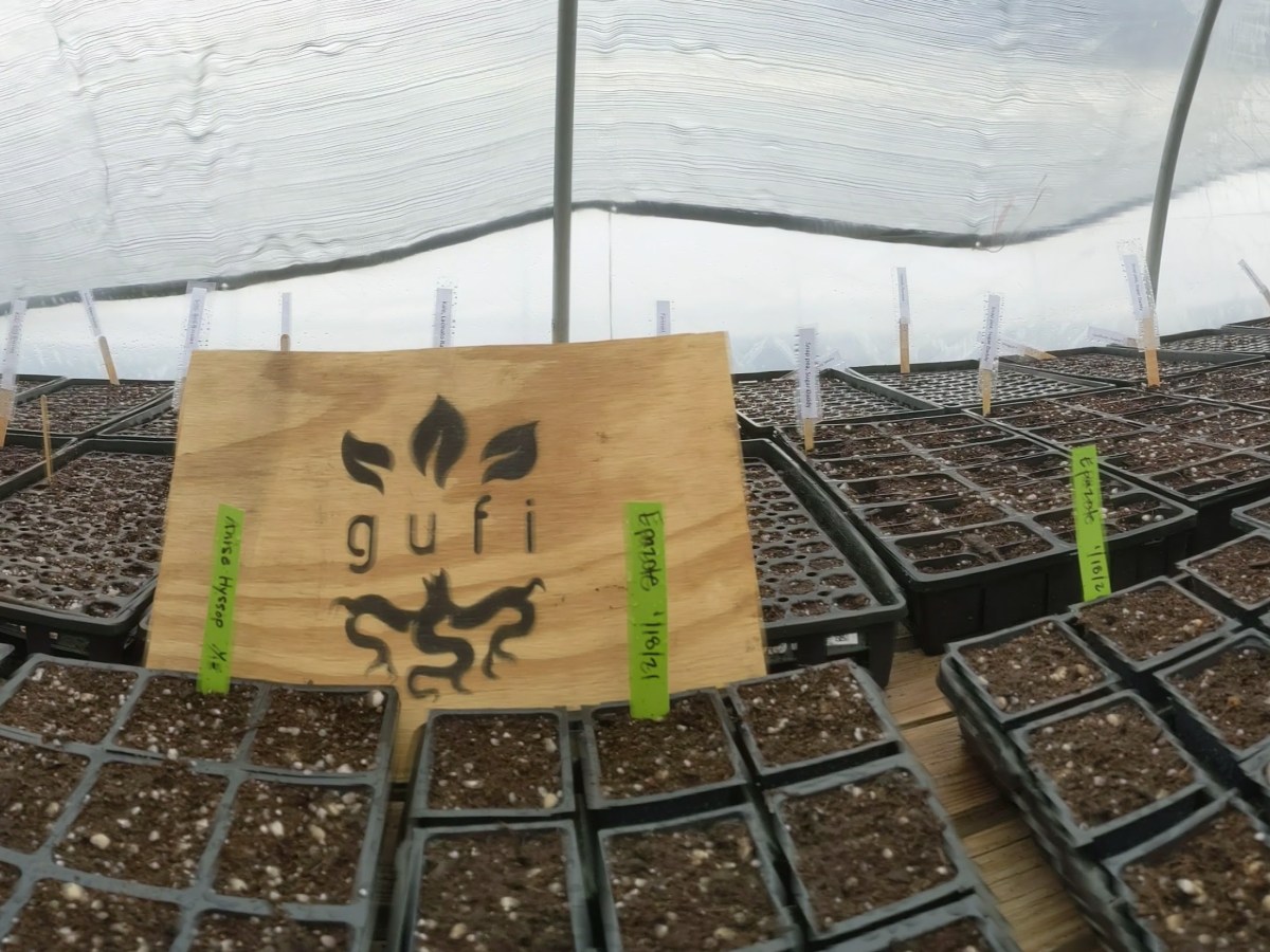 The Guilford Urban Farming – Greenhouse Now&nbsp;Open